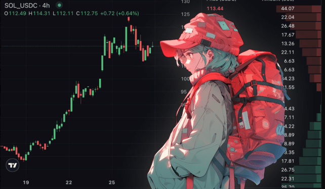 An anime picture of a girl wearing a red had and red backpack looking at a SOL market chart